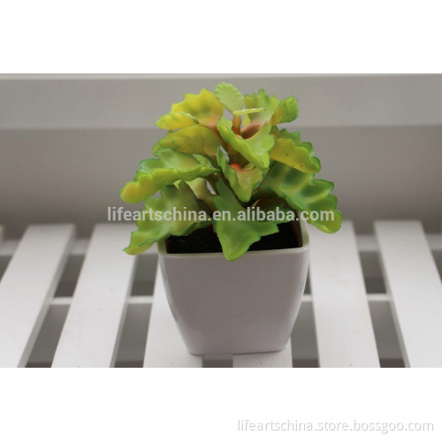 succulent plants, mini plant, ceramic pot #5, china artificial plant